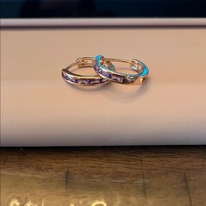 Pretty Bird Rose Gold and Purple Hoop Earrings